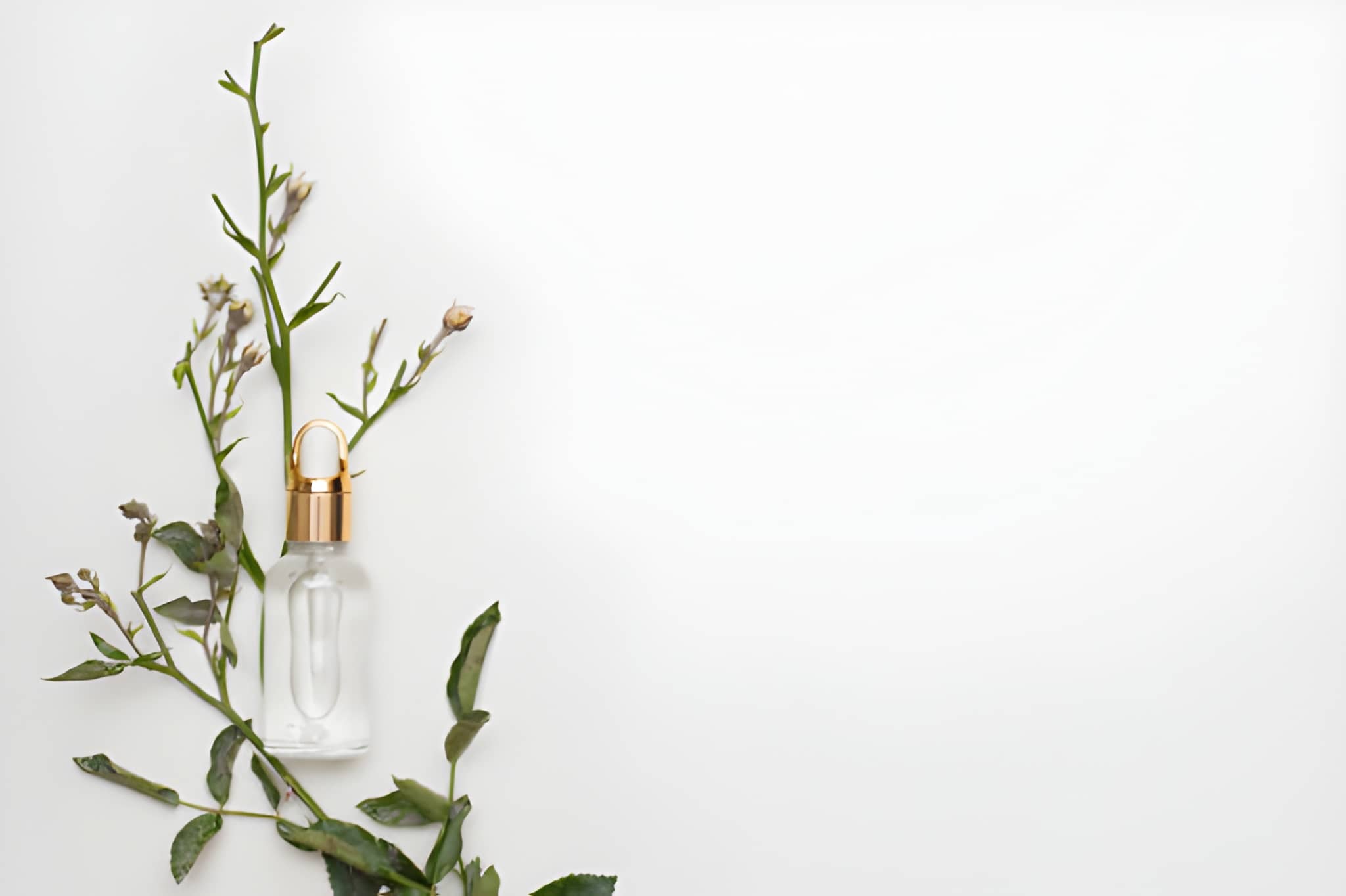 Clean Skin Care Brand